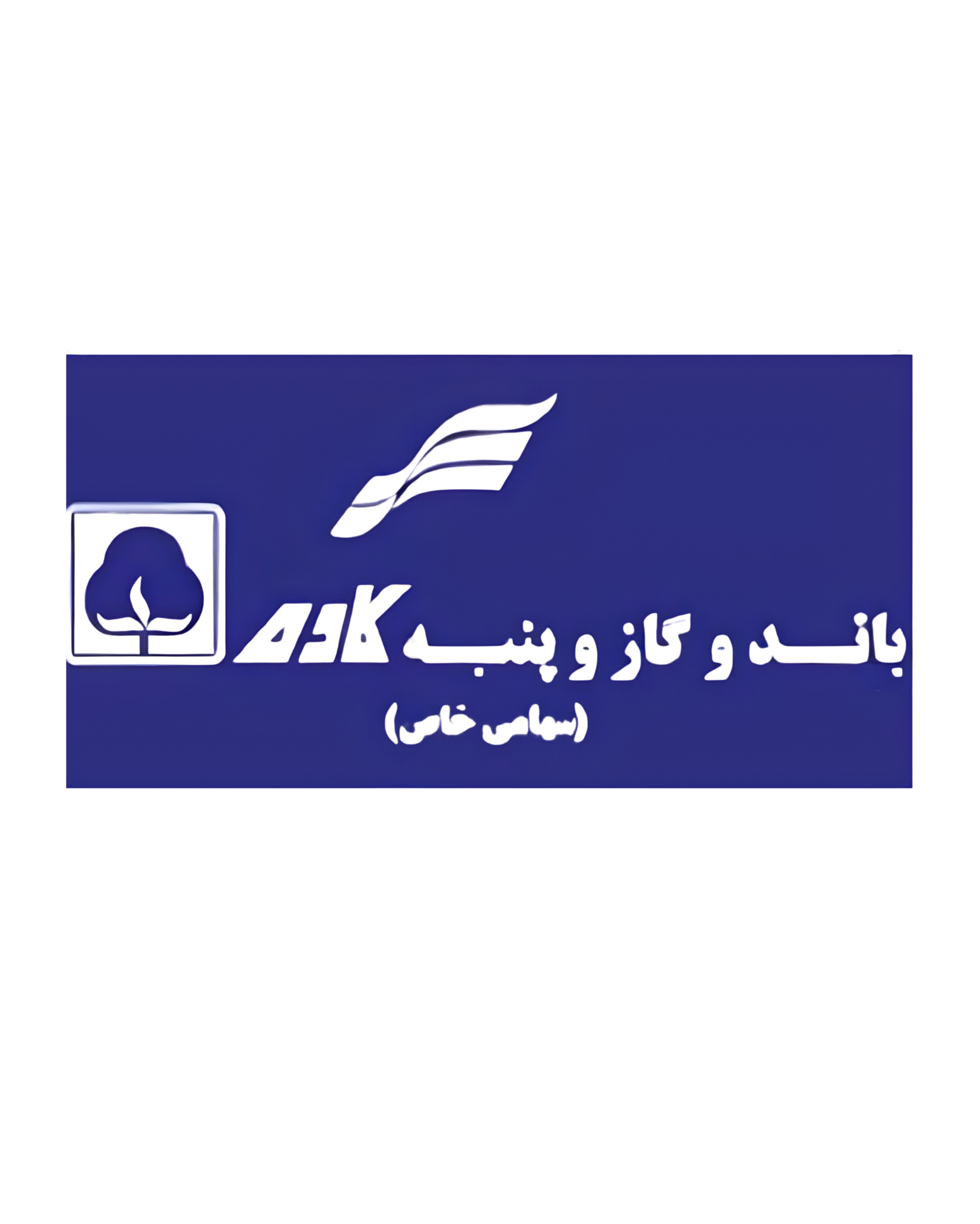 باندو گازو پنبه کاوه