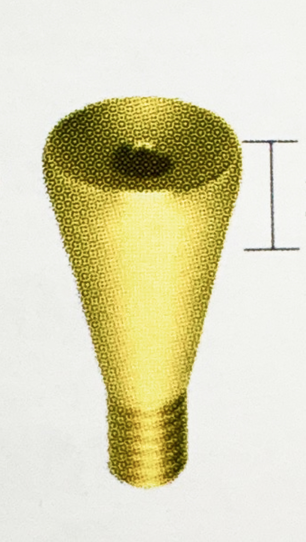کیپر مغناطیسی Dome Type دنتیوم