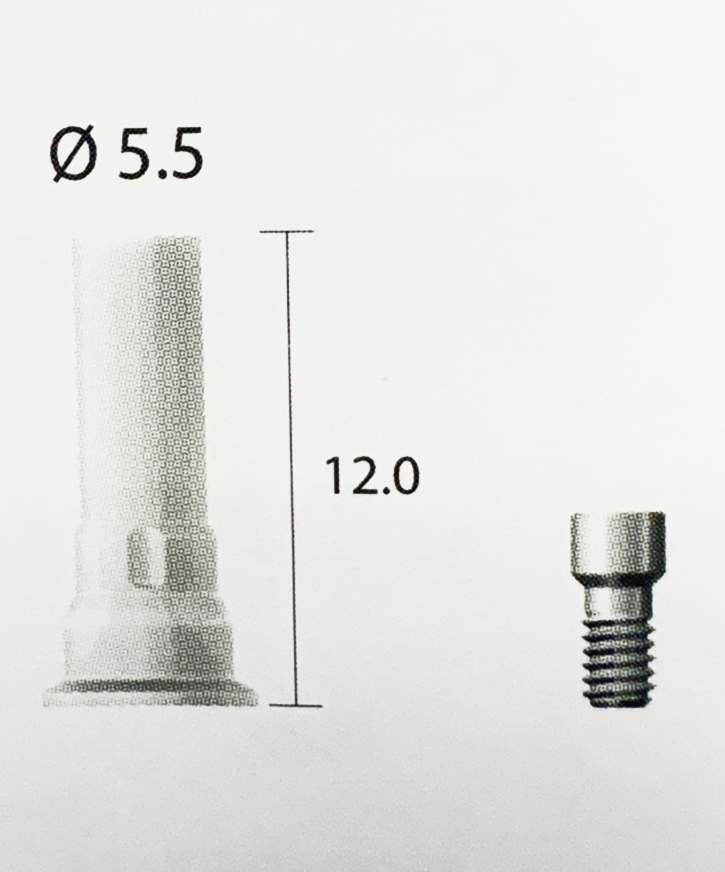 Dentium Burn-out Cylinder