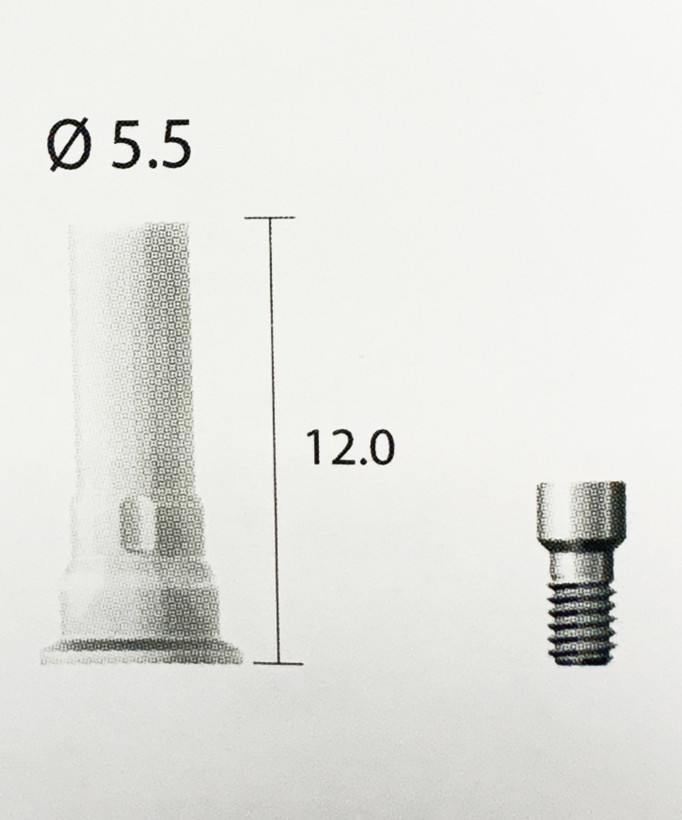 Dentium Burn-out Cylinder